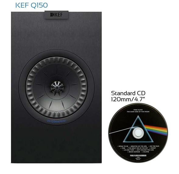 KEF Q150 Real Life Body Size Comparison