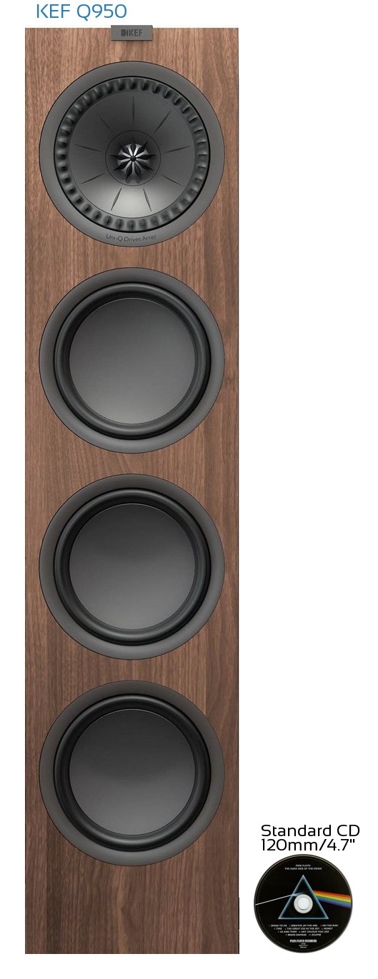 KEF Q950 Real Life Body Size Comparison