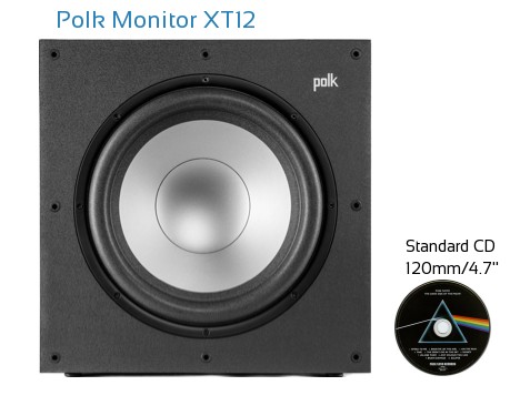 Polk Monitor XT12 Real Life Body Size Comparison