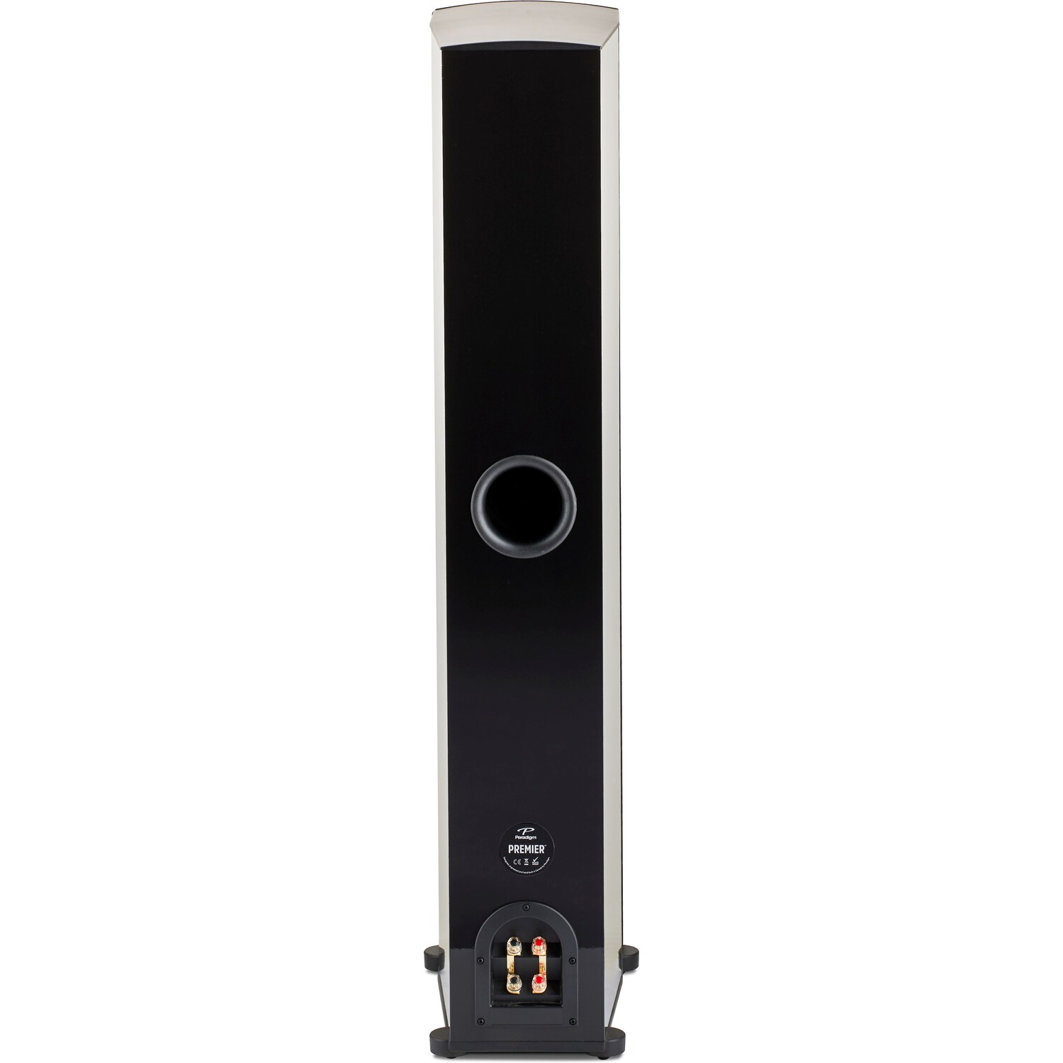 Rear of the original Paradigm Premier 800F with the built in Canada label
