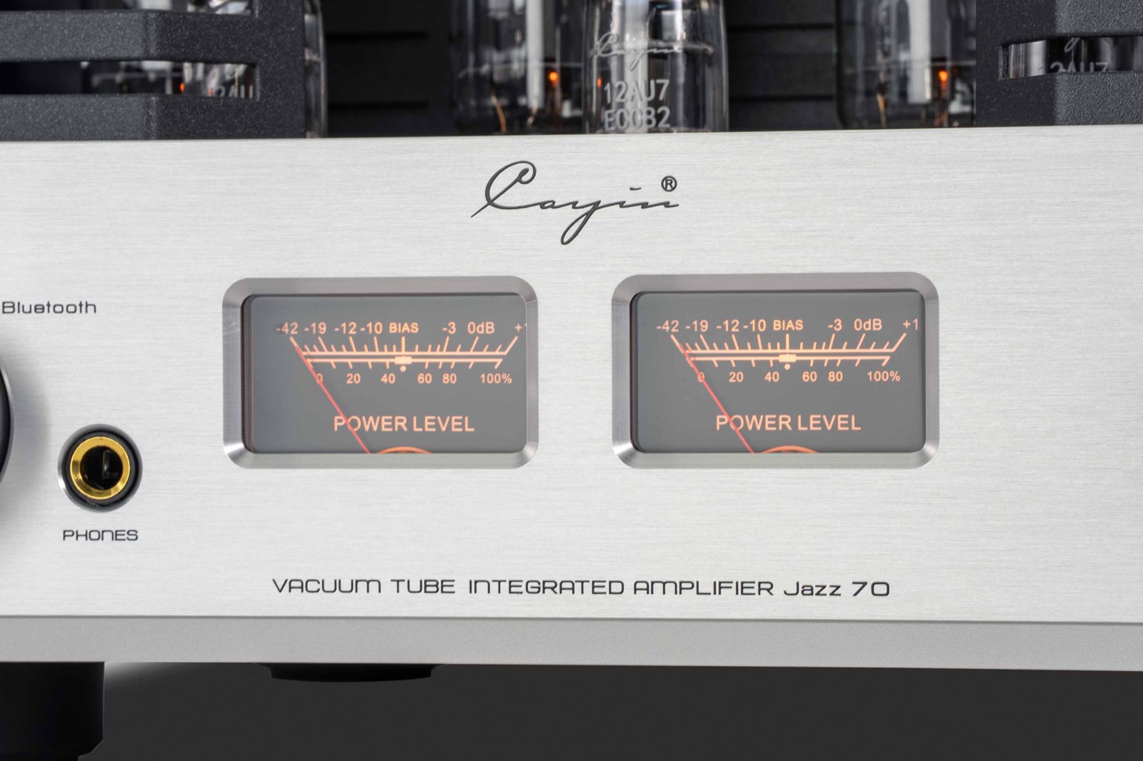 The meters read power level most of the time, and switch to reading bias current when you set the four output valves
