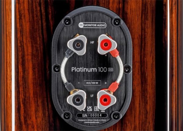 Monitor Audio Platinum 100 3G Terminals