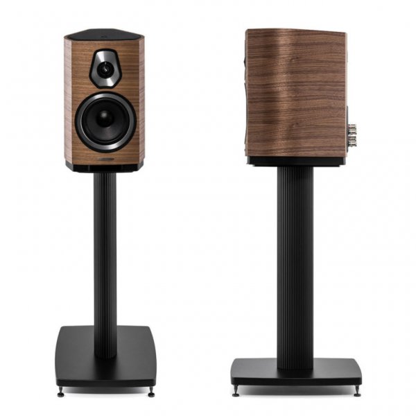 Sonus Sonetto I  on a Stand