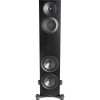 Paradigm Premier 820 v2