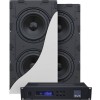 SVS 3000 In wall Dual Subwoofer System