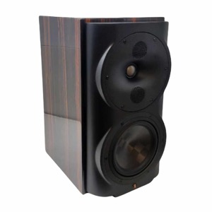 Perlisten S4b - Front View