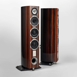 Triangle Magellan Cello 40th - Front View