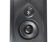 Definitive Technology DW 45 MAX
