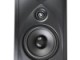 Definitive Technology DW 65 MAX