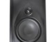 Definitive Technology DW 80 PRO