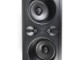 Definitive Technology DW MAX SUR