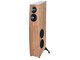 ELAC Concentro S509.2