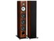 Triangle Esprit Australe Ez