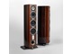Triangle Magellan Cello 40th